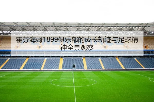 霍芬海姆1899俱乐部的成长轨迹与足球精神全景观察