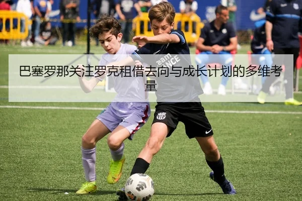 ba-sai-luo-na-guan-zhu-luo-ke-zu-jie-qu-xiang-yu-cheng-zhang-ji-hua-de-duo-wei-kao-liang-2-613.jpg